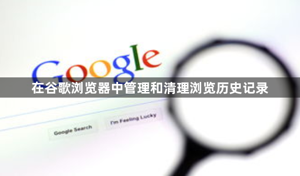在谷歌浏览器中管理和清理浏览历史记录1