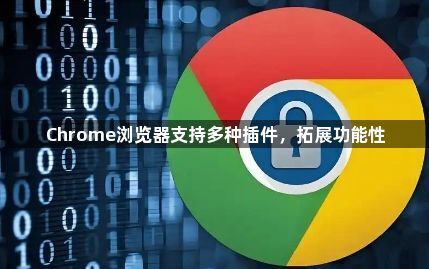 Chrome浏览器支持多种插件，拓展功能性1