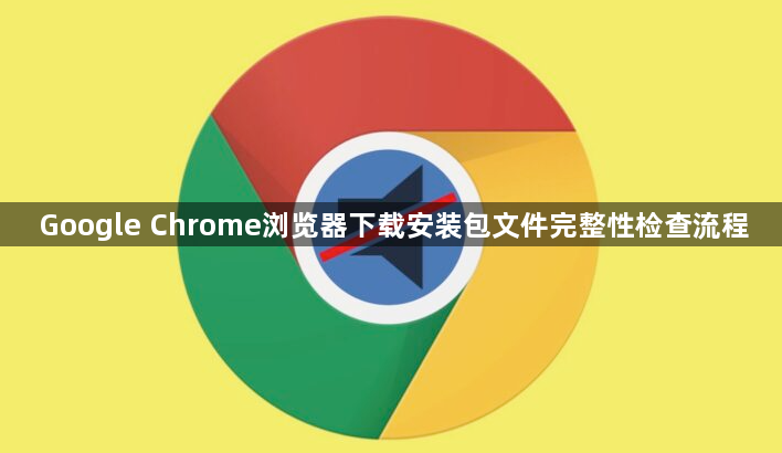 Google Chrome浏览器下载安装包文件完整性检查流程1