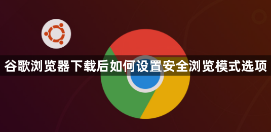 谷歌浏览器下载后如何设置安全浏览模式选项1