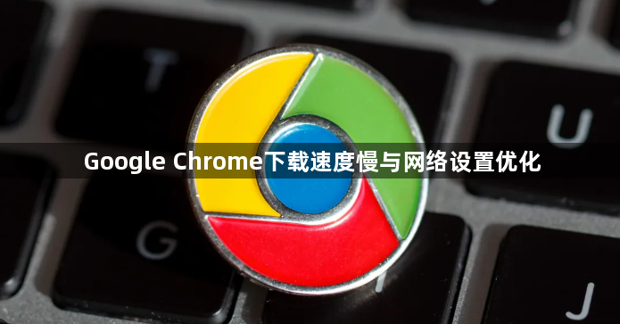 Google Chrome下载速度慢与网络设置优化1