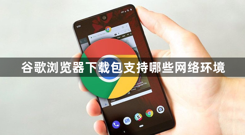 谷歌浏览器下载包支持哪些网络环境1