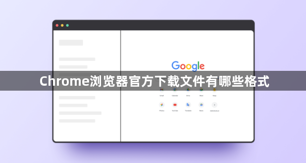 Chrome浏览器官方下载文件有哪些格式1