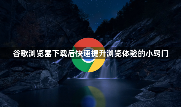 谷歌浏览器下载后快速提升浏览体验的小窍门1